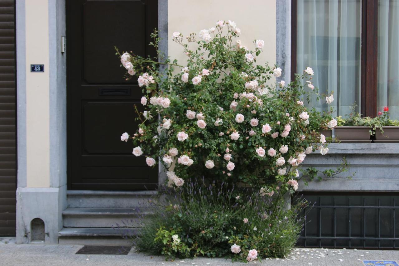 B&B Les Iris Brussel Buitenkant foto